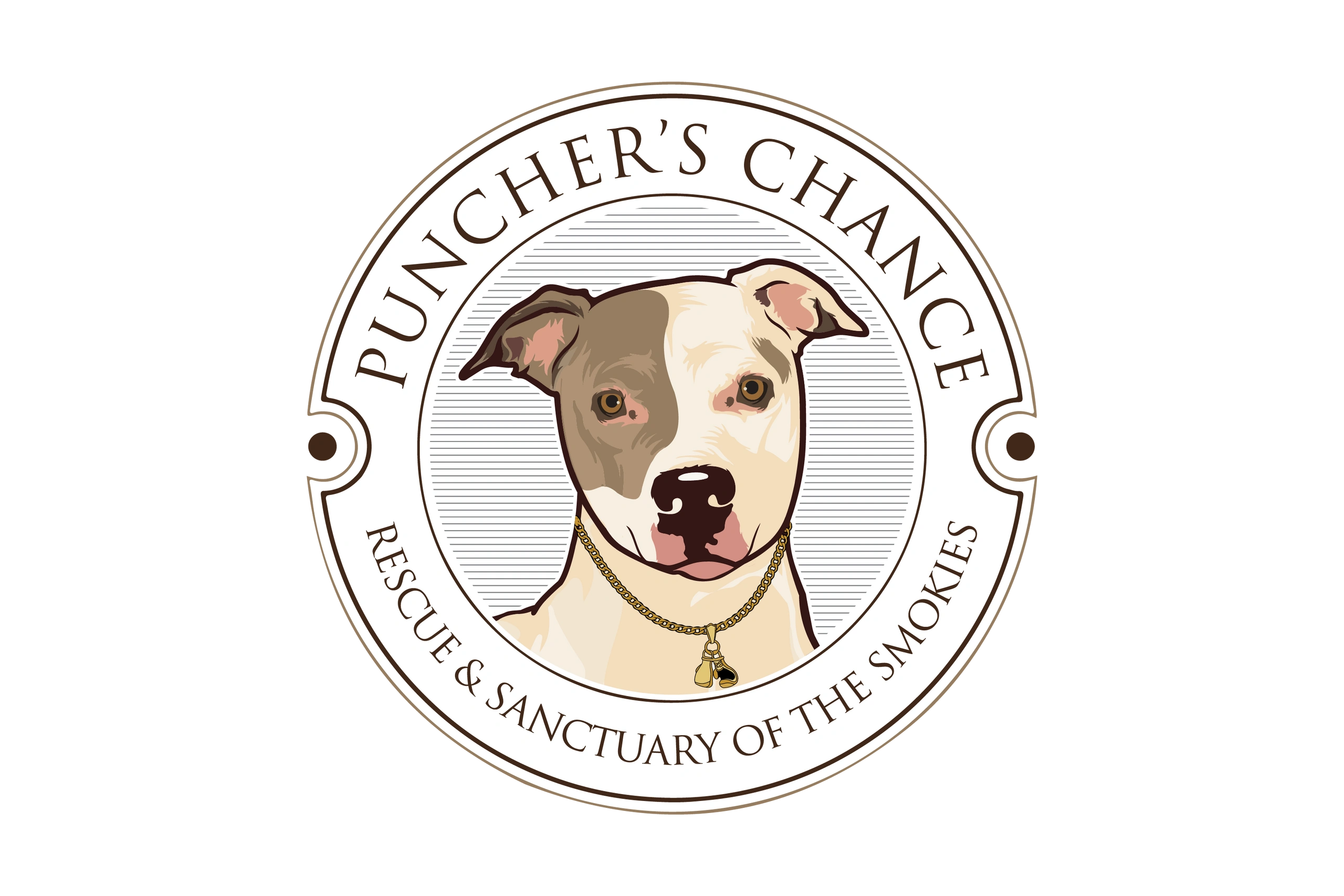 Find Rescue Dogs at Punchers Chance Rescue and Sanctuary of the Smokies